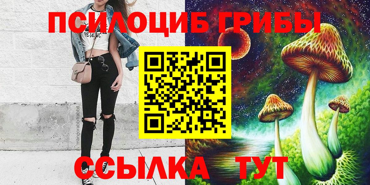 Псилоцибиновые грибы мицелий Кандалакша